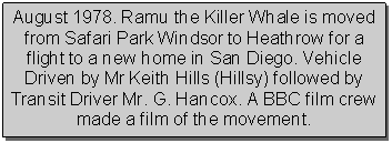 Text Box: August 1978. Ramu the Killer Whale is moved from Safari Park Windsor to Heathrow for a flight to a new home in San Diego. Vehicle Driven by Mr Keith Hills (Hillsy) followed by Transit Driver Mr. G. Hancox. A BBC film crew made a film of the movement.