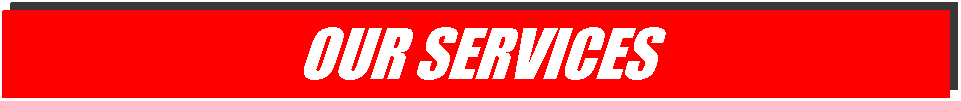 Text Box: Our services